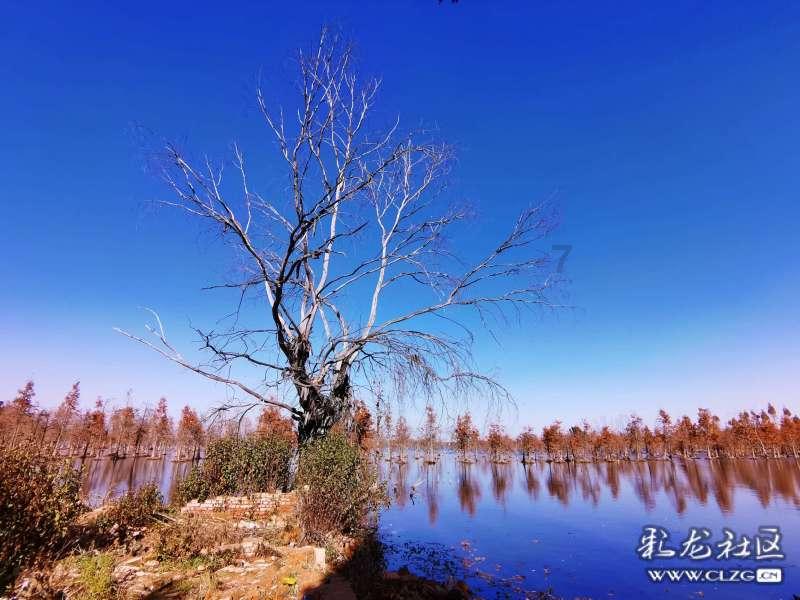 23次失误！3天两负北京双雄！浙江东阳光遭连败，孙铭徽继续缺阵