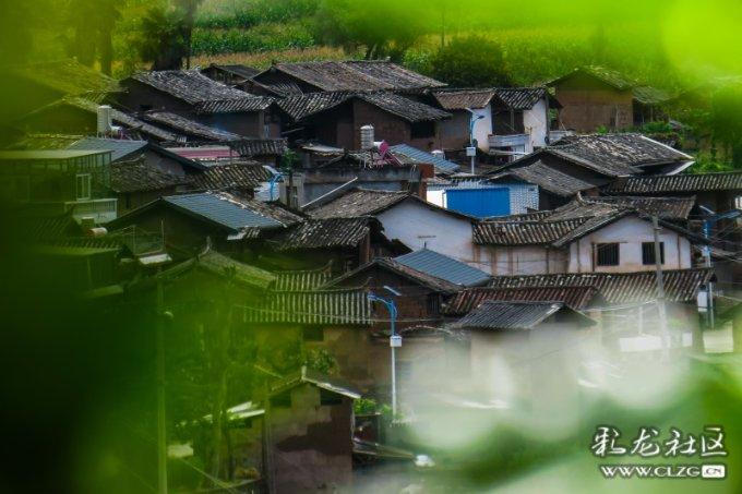 灵山奇缘