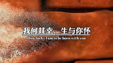 天上掉下个小猪猪