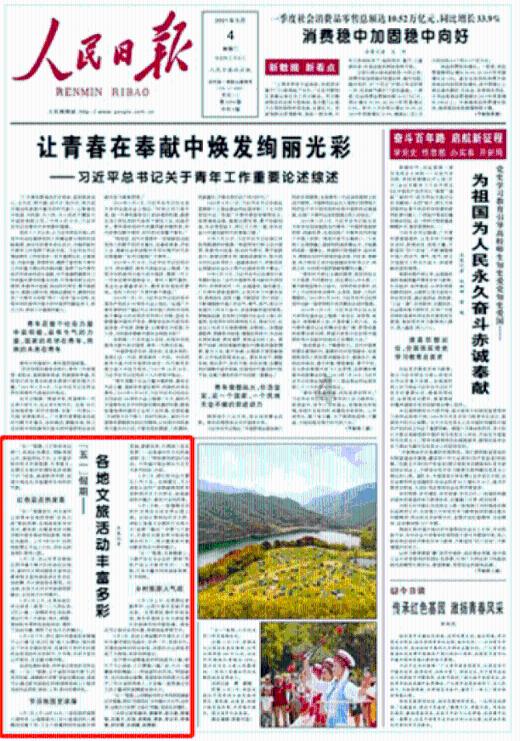 拯救树精灵