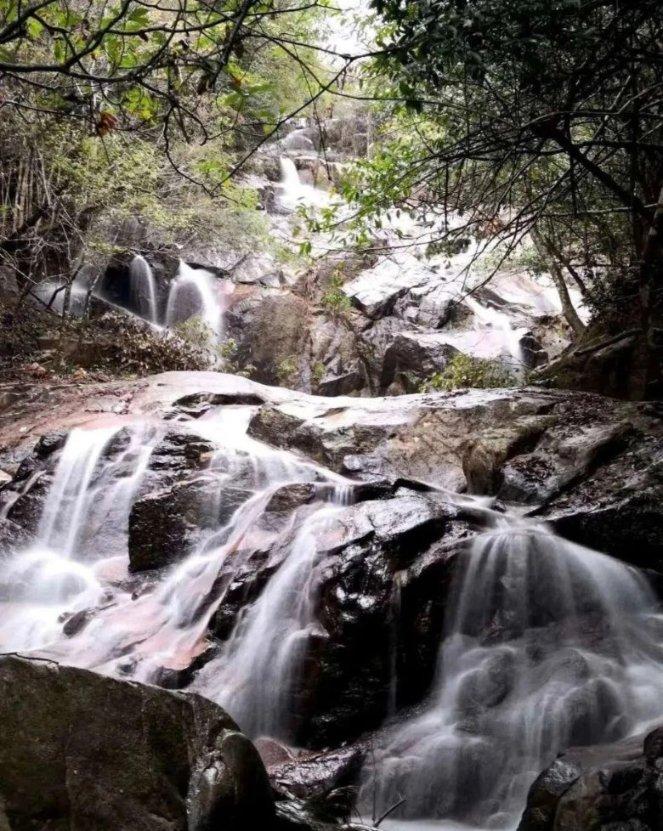 黎明守卫者