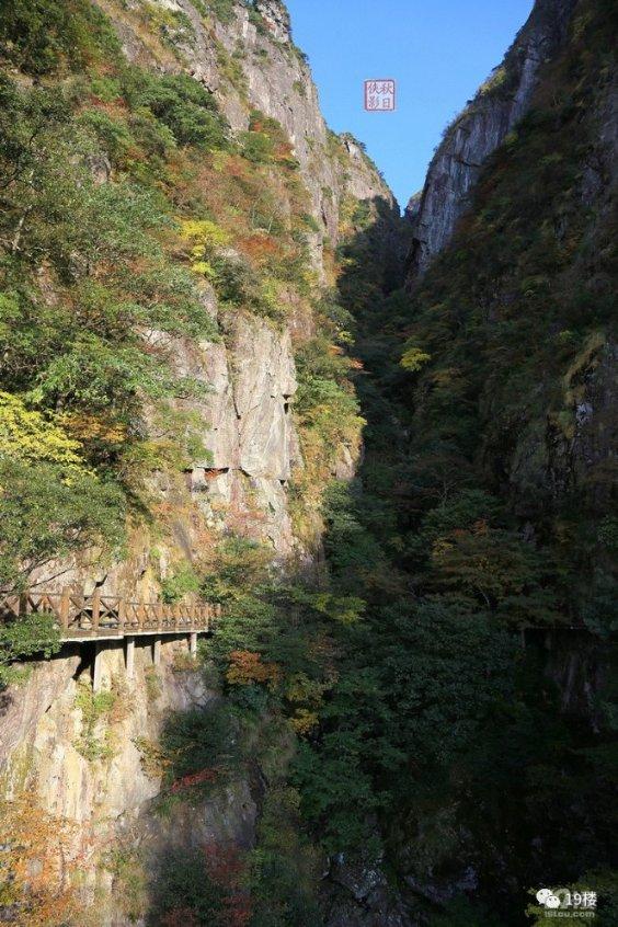 双重间谍