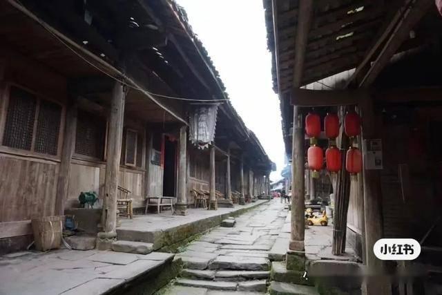 春雨直播app