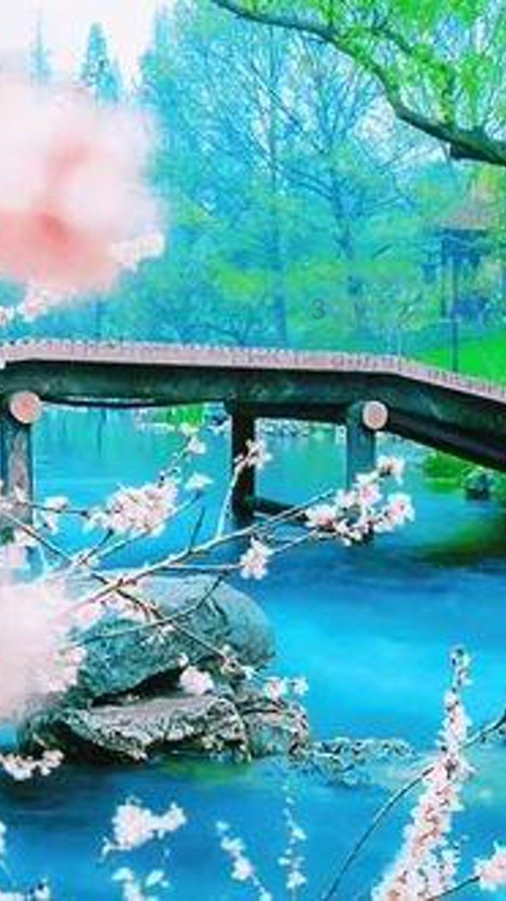 逃出无人荒岛